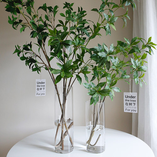 高仿真网红马醉木懒人植物好打理