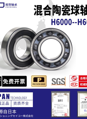 BPJ珀智进口半陶瓷混合轴承6000轴承钢6001高速6002RS6003RS6004R