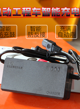 工程工地电动翻斗车手推电瓶车智能养护充电器48V12A20A32A60V45A