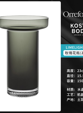 KOSTA BODA进口水晶玻璃 LIMELIGHT透明花瓶欧式简约客厅插花摆件