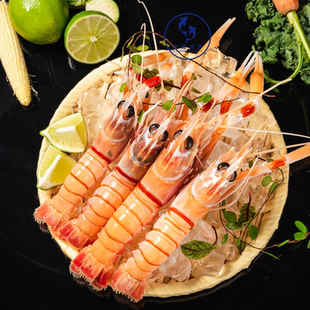 新西兰进口鳌虾刺身 Scampi斯干比原装进口 高端日料同款2斤装