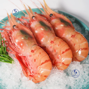 俄罗斯白牡丹虾刺身8-10只超大号野生鲜活新鲜500g海鲜冷冻生鲜