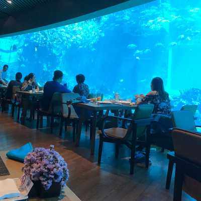 高档新品专业海水缸生态海洋缸亚克力鱼缸圆柱弧形水族箱承接水族