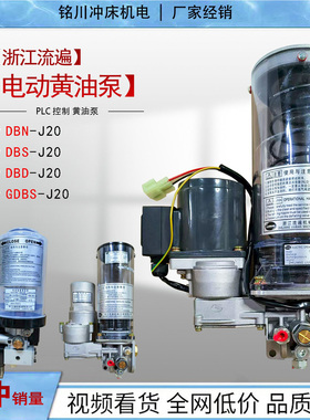 浙江流遍电动润滑泵DBN-J20/08DK/15D3冲床电动黄油泵DBN-J20/15E