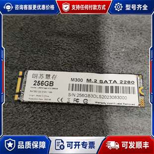议价朗苏慧存M300 256GB M.2 SATA 2280固态可维修