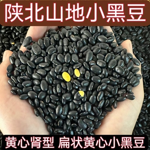 25年肾形黄仁小黑豆陕北农家自种古老品种黄仁黄芯雄黑豆豆浆豆芽