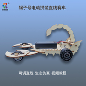 蝎子号电动拼装 赛车青少年益智车模竞赛直线竞速模型玩具