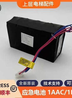 适用东芝电梯应急电池组WS20-1AAC/2-ZUPS无机房电源LC-R064R2