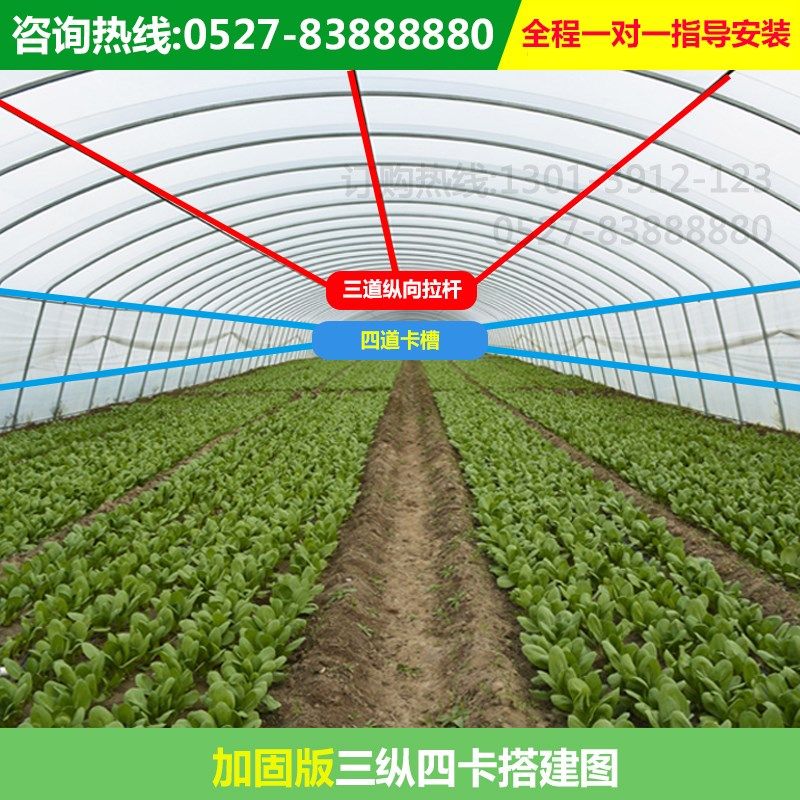 customized Greenhouse skeleton 625/825 Scaffolding breed Vegetables Mini Shed greenhouse Steel tube greenhouse Steel framein the Flower delivery/Flowers simulation/Plants gardening , Gardening supplies , Other Garden Supplies  category - from Buy2taobao.com to provide professional Taobao agent buy service