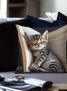 沙发高级爆款动物猫咪印花抱枕客厅沙发超软腰靠垫含芯厂家