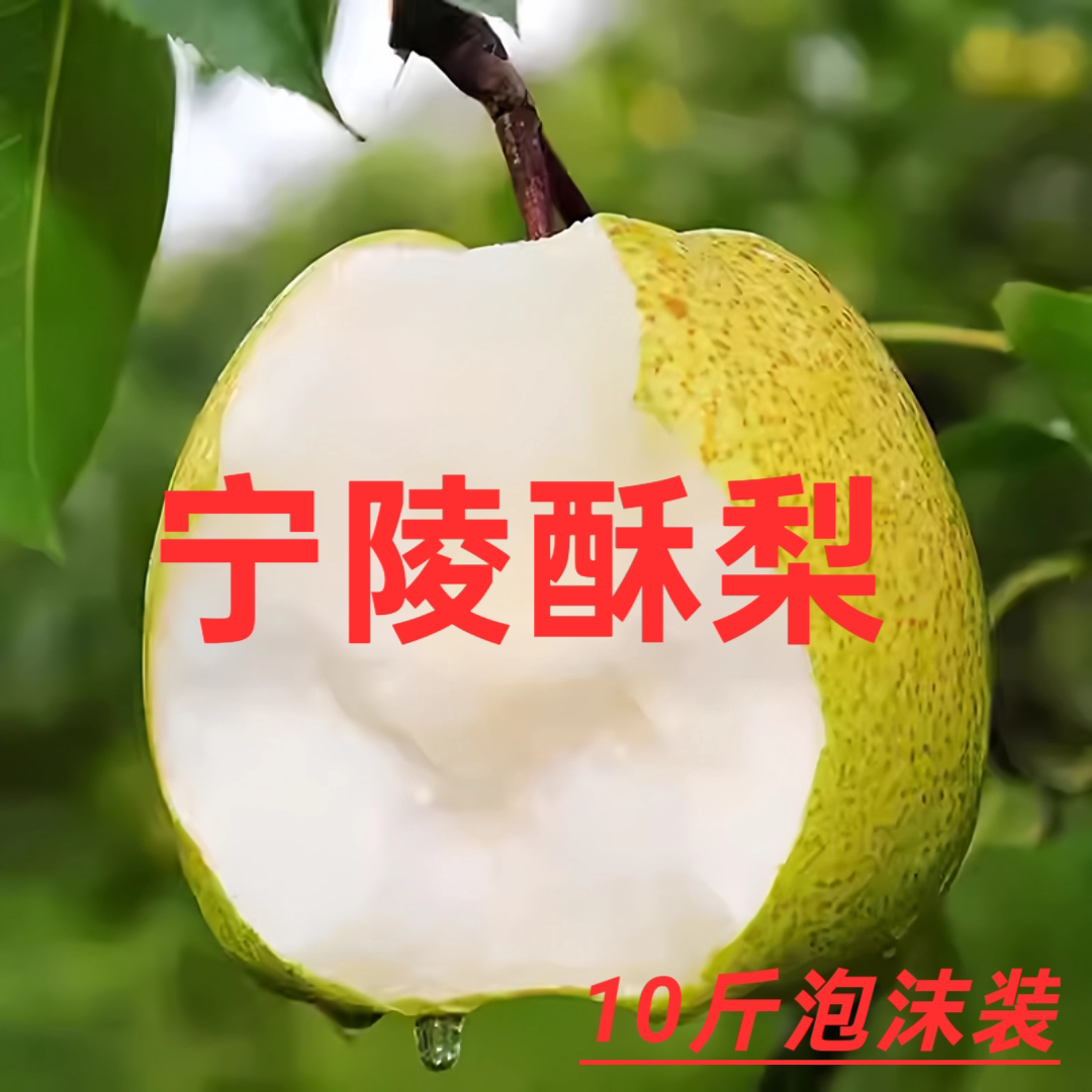 宁陵酥梨10斤礼盒百年砀山梨