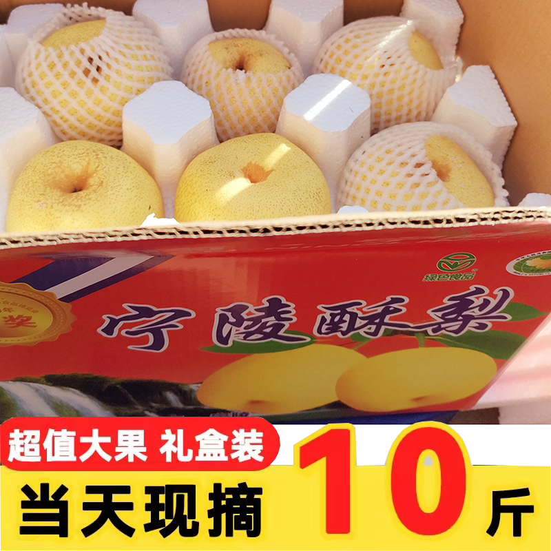 宁陵酥梨10斤百年老树多汁脆甜整箱精品果砀山梨新鲜梨子水果包邮