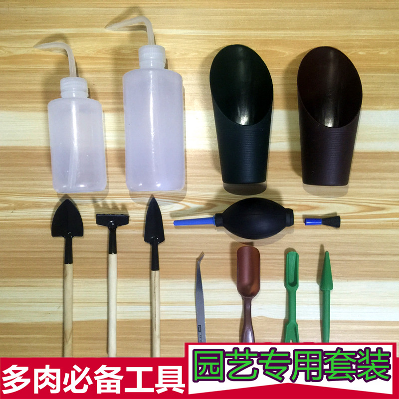 园艺工具套装养花工具多肉工具肉肉新手盆栽喷壶镊子毛刷子吹气壶|ruв категории доставка цветов/цветок моделирования/растения садоводства, садовых принадлежностей, других садовых принадлежностей - от Buy2taobao.com для оказания профессиональной услуги покупки агента Taobao