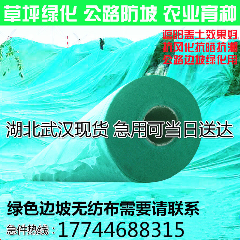 绿色无纺布绿化透气覆盖膜防尘盖土草坪植草籽园林护坡毛毡土工布