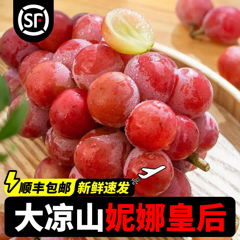 【伍官邨精选】西昌大凉山妮娜皇葡萄/提子