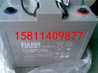 ·Ç·²Ç¦ËáÐîµç³Ø12v205ah ·Ç·²µçÁ¦Ö±Á÷ÆÁ 12SP205 Ãâά»¤Ðîµç³Ø