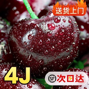 国产车厘子送礼水果当季整箱孕妇高档美早大樱桃5J礼盒顺丰包邮