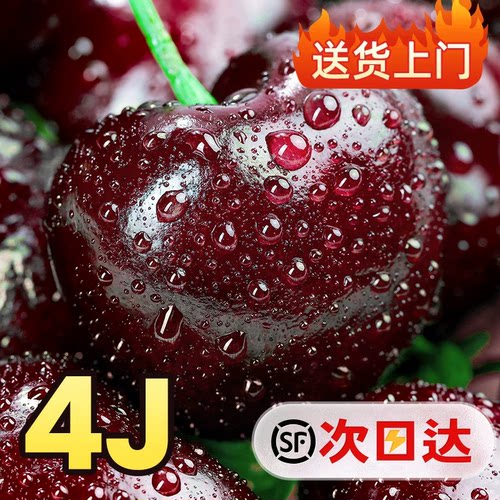 国产车厘子送礼水果当季整箱孕妇高档美早大樱桃5J礼盒顺丰包邮
