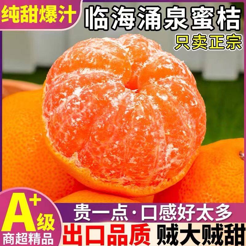 【正宗涌泉蜜桔】新鲜水果无核橘子无打蜡桔子黄岩蜜桔孕妇甜零食