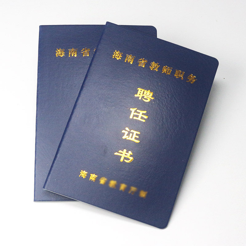 海南专业技术职务聘任证书