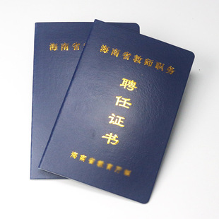 现货蓝色海南地区专业技术职务岗位聘任证书教职工岗位上岗合格本