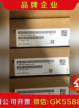 6SE7041-2WL84-1JC1 原装低价 议价