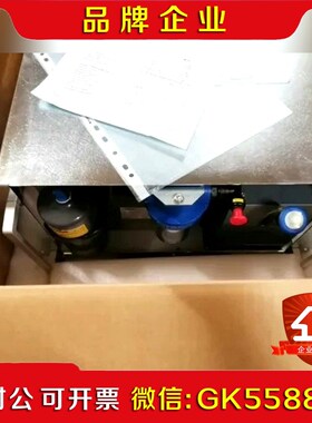 TERMOTEK P311冷水机P311-13961-3 议价