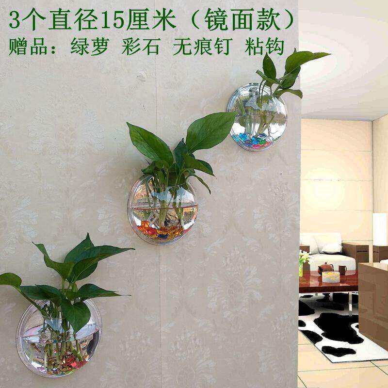 亚克力墙壁水培绿萝花盆瓶餐厅鱼缸墙面装饰品壁挂客厅背景墙花盆
