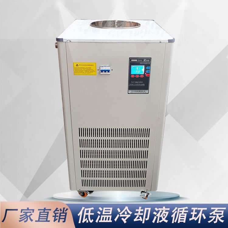 厂家dlsb5205L实验室5升恒温水浴低仪器设备冷却液循环泵
