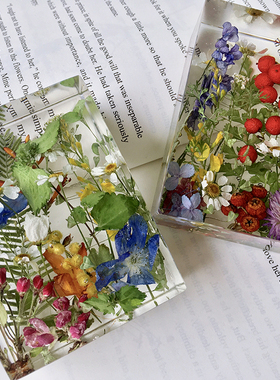 【花园镇纸】植物标本摆件树脂水晶干花节日礼物  尺寸：8x6x3cm