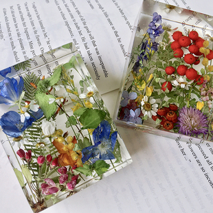 【花园镇纸】植物标本摆件树脂水晶干花节日礼物 尺寸:8x6x3cm