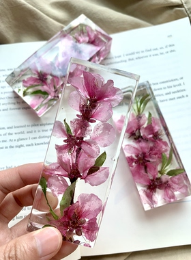 【桃花】滴胶花枝真花摆件纯手工标本节日礼物教师节10×4×2cm