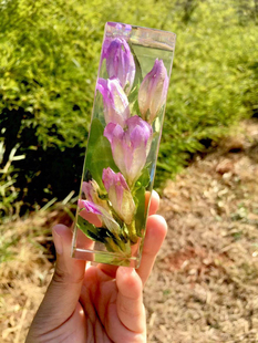 【花柱】水晶滴胶材料植物手工节日礼物干花 尺寸:12x3x3cm