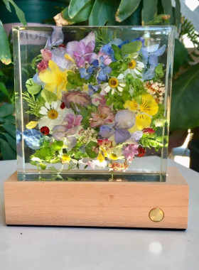 【花环】夜灯滴胶植物标本手工制作树脂植物真花 尺寸：10x10x3cm