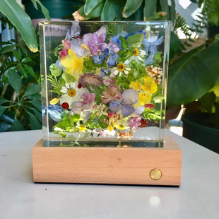 【花环】夜灯滴胶植物标本手工制作树脂植物真花 尺寸:10x10x3cm