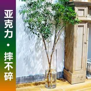 亚克力塑料花瓶水培马醉木吊钟南天竹美男树雪柳龙柳绿植专用器皿