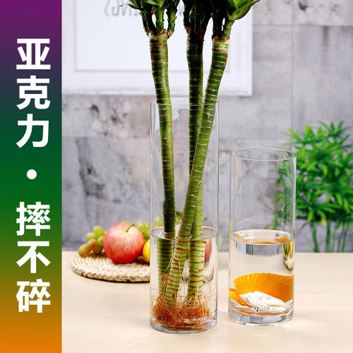亚克力花瓶水培富贵竹龙竹文昌竹