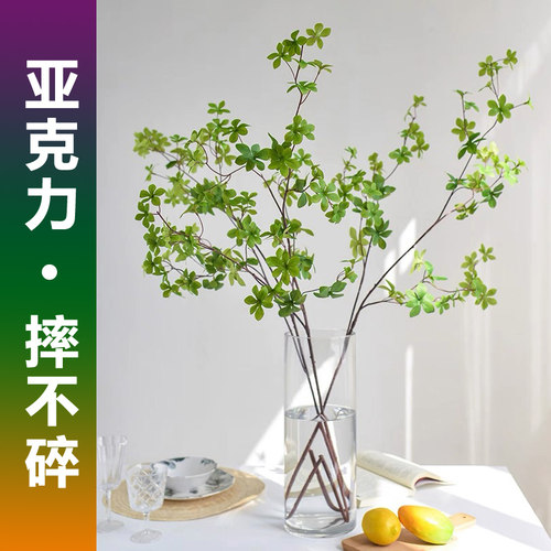 亚克力花瓶水培马醉木南天竹专用