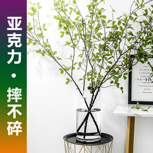 高透亚克力塑料花瓶水培马醉木吊钟南天竹美男树雪柳龙柳专用器皿