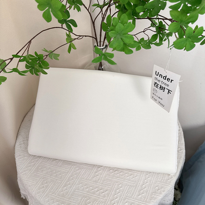 记忆棉家用儿童白色枕芯柔软幼儿寝室枕头30x50cm
