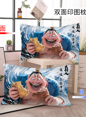 哪吒电影枕套敖丙申公豹学生宿舍磨毛枕头套子48x74cm单只DIY定制