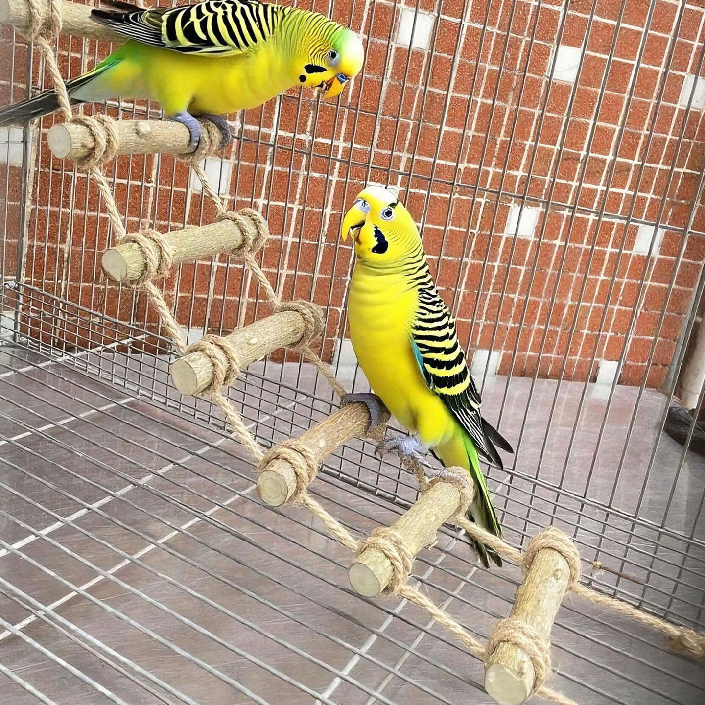 天然花椒木云梯爬梯鸟用品