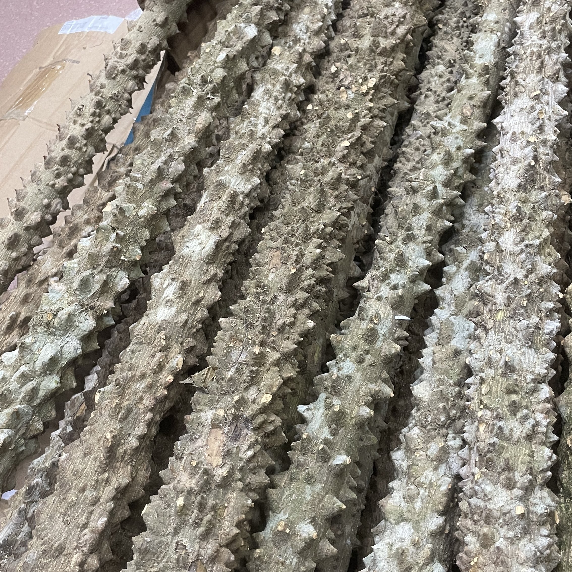 野生花椒木按摩棒拐棍降龙木