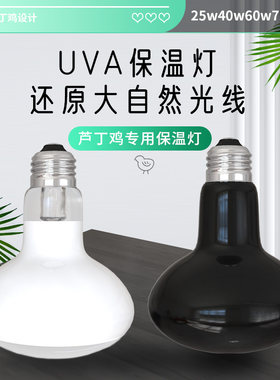 芦丁鸡保温灯用品鹌鹑取暖爬宠