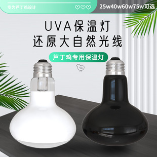 芦丁鸡保温灯用品鹌鹑取暖爬宠晒背灯鹦鹉宠物育雏小鸡加热照明灯