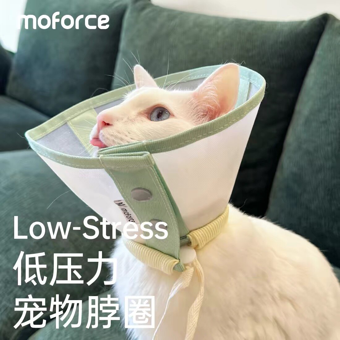 摩法低压猫咪伊丽莎白圈防舔防咬