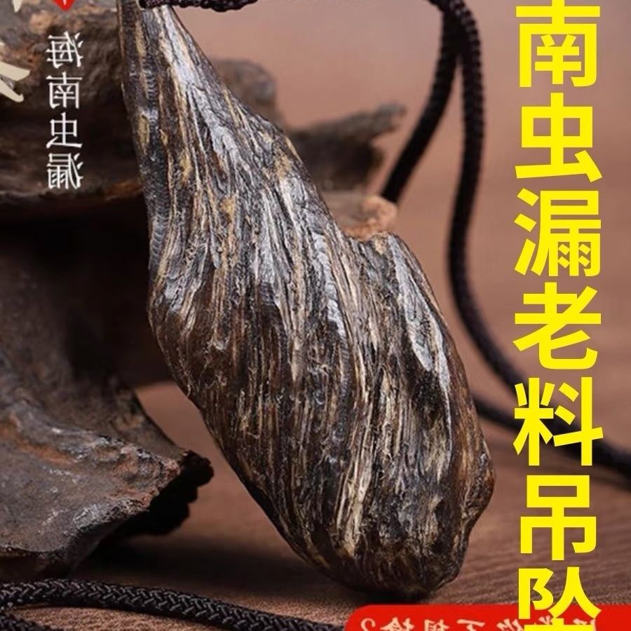 海南岛尖峰岭老料虫漏吊