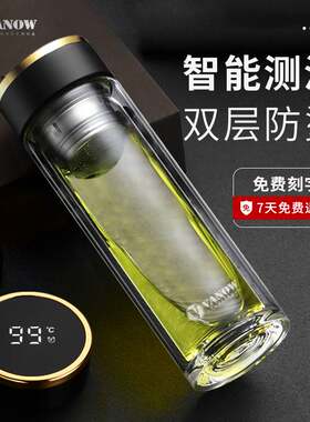英国Vanow高档茶水分离双层玻璃杯茶杯个人专用隔热泡茶水杯子男