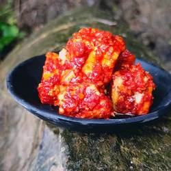 湖南湘西正宗龙山洗车河霉豆腐麻辣农家豆腐乳500g豆制品特产