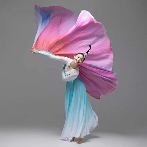 2025新款芙蓉似锦古典舞演出服女子群舞飘逸开场舞歌伴舞演出服装